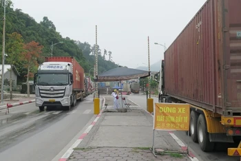 Xe chở hàng hóa xuất khẩu đang chờ làm thủ tục xuất khẩu qua cửa khẩu quốc tế Hữu Nghị (Cao Lộc, Lạng Sơn).