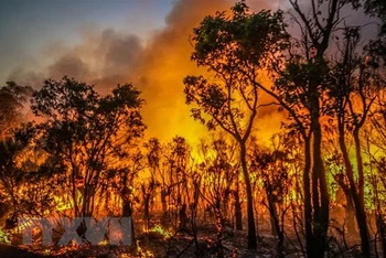 Khói lửa bốc lên tại đám cháy rừng gần sông Margaret, Australia ngày 8/12/2021. (Ảnh: AFP/TTXVN)