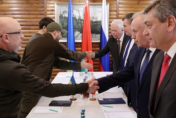 Vòng đàm phán vòng hai giữa Nga và Ukraine bắt đầu bằng những cái bắt tay. Ảnh: vesti.ru