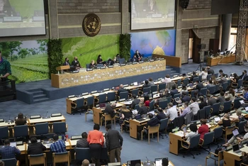 Quang cảnh kỳ họp lần thứ 5 tiếp nối của Hội đồng Môi trường Liên hợp quốc (UNEA-5.2) tại Nairobi, Kenya. (Ảnh: UNEP)