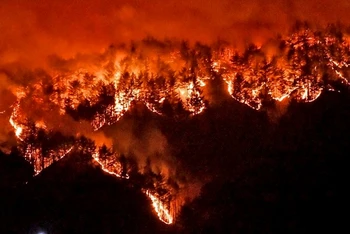 Cháy rừng bùng phát ở thành phố Samcheok, tỉnh Gangwon, Hàn Quốc, ngày 4/3/2022. (Ảnh: Yonhap)