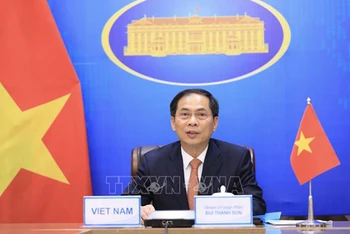 Bộ trưởng Ngoại giao Bùi Thanh Sơn. (Ảnh: TTXVN)