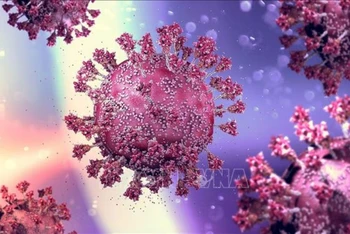 Hình ảnh mô phỏng virus SARS-CoV-2 gây bệnh Covid-19. (Ảnh: MedPage Today/TTXVN)