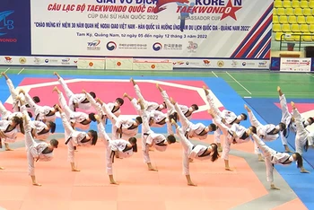 Biểu diễn Taekwondo tại lễ khai mạc.