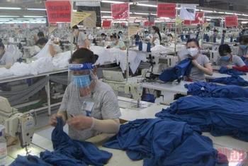 (Ảnh minh họa): Người lao động làm việc tại một Công ty may mặc tại Long An.