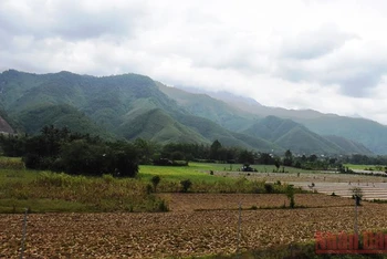 Huyện Hòa Vang, TP Đà Nẵng không tiếp nhận giải quyết hồ sơ đề nghị chuyển mục đích đối với đất nông nghiệp thuần túy. Trong ảnh là một góc của xã Hòa Bắc, huyện Hòa Vang.