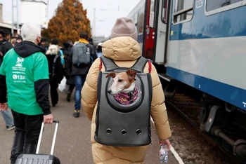 Người Ukraine mang theo thú cưng lên tàu đi sơ tán ở Zahony, Hungary, ngày 3/3/2022. (Ảnh: REUTERS)