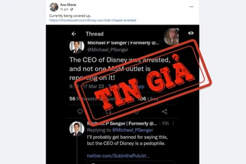 Một tài khoản đăng thông tin sai sự thật về CEO Disney. (Ảnh chụp màn hình)