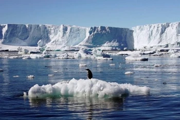 Nhiệt độ Nam Cực ghi nhận ở mức cao bất thường. (Ảnh: Reuters)