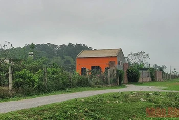Ngôi nhà cấp 4 xây dựng trái phép trên đất nông nghiệp của ông Nguyễn Văn Bắc.