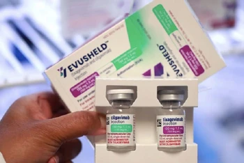 Thuốc kháng thể đơn dòng Evusheld của AstraZeneca. (Ảnh: Reuters)