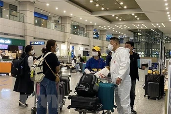 Nhân viên y tế kiểm tra thông tin hành khách nhập cảnh ở Sân bay quốc tế Incheon (Hàn Quốc). (Ảnh: Anh Nguyên/TTXVN)