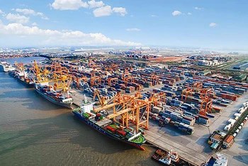 Công ty cổ phần Cảng Hải Phòng, đơn vị thành viên của Vinalines đầu tư các bến container tại Cảng cửa ngõ quốc tế Hải Phòng (Lạch Huyện). Ảnh: ĐỨC NGHĨA