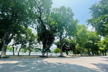Không gian xanh mát của hồ Thiền Quang sẽ được khai thác làm phố đi bộ.