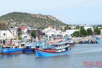 Các cảng cá ở Ninh Thuận đều vươn khơi khai thác hải sản.