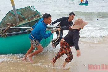 Người dân xã An Hòa Hải huyện Tuy An, Phú Yên đang nỗ lực cứu vớt tài sản còn sót lại sau cơn lốc xoáy bất thường. 