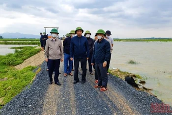 Ông Trần Quang Hoài (đứng giữa) kiểm tra tình hình úng ngập tại huyện Quảng Ninh. 