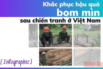 [Infographic] Khắc phục hậu quả bom mìn sau chiến tranh ở Việt Nam