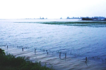 Tại khu vực vùng hạ lưu sông Bồ và sông Ô Lâu, mưa lớn trong những ngày qua khiến nước sông dâng cao, nhiều tuyến đường ngập nặng.