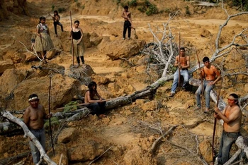 Những người bản địa thuộc bộ lạc Mura tại khu vực rừng Amazon bị chặt phá gần Humaita, bang Amazonas, Brazil, ngày 20/8/2019. (Ảnh: Reuters)