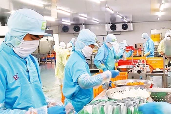 Người lao động tại Công ty Sài Gòn Food. (Ảnh minh họa: Quang Quý)