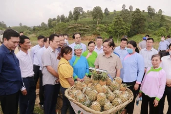 Bộ trưởng Lê Minh Hoan trao đổi với bà con trồng dứa ở huyện Mường Khương (Lào Cai). Ảnh: nongnghiep.vn