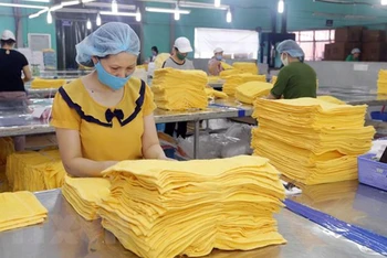 Sản xuất hàng xuất khẩu tại Công ty cổ phần dệt may Sơn Nam, Nam Định. (Ảnh: TTXVN)