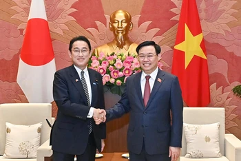 Chủ tịch Quốc hội Vương Đình Huệ và Thủ tướng Nhật Bản Kishida Fumio tại buổi hội kiến. (Ảnh: Duy Linh)