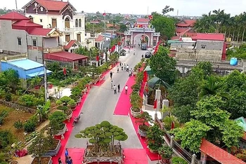 Làng vườn Bách Thuận hướng đến mô hình du lịch xanh.