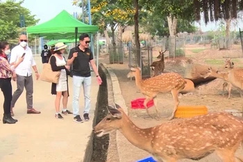 Vườn thú Mỹ Quỳnh (huyện Đức Hòa) đón khoảng 2.000 lượt khách tham quan trong dịp lễ 30/4 và 1/5.