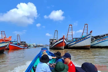 Dù đã hoàn thành lắp đặt thiết bị giám sát hành trình cho toàn bộ tàu cá nhưng có hàng nghìn tàu ở Cà Mau mất kết nối với hệ thống giám sát.  