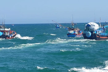 Sau ngày 30/7, Quảng Ngãi sẽ xử lý nghiêm tàu cá chưa lắp thiết bị VMS nhưng vẫn hoạt động. 