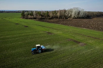 Máy kéo rải phân bón trên cánh đồng lúa mì gần làng Yakovlivka, gần TP Kharkiv, ngày 5/4/2022. (Ảnh: Reuters)