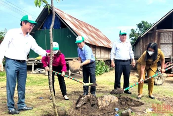 Các đại biểu tham gia trồng cây xanh tại tuyến đường Y Jút, thị trấn Liên Sơn, huyện Lắk.
