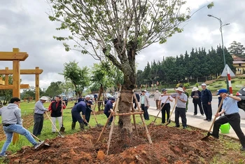 Lãnh đạo tỉnh Lâm Đồng cùng các đoàn thể tham gia lễ phát động trồng rừng, cây xanh phân tán năm 2022.