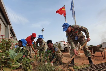 Cán bộ, y, bác sĩ, nhân viên Bệnh viện dã chiến cấp 2 số 3 và số 4 của Việt Nam tích cực tham gia trồng cây xanh tại căn cứ Bentiu, Nam Sudan. (Ảnh: Nguyễn Đảm)