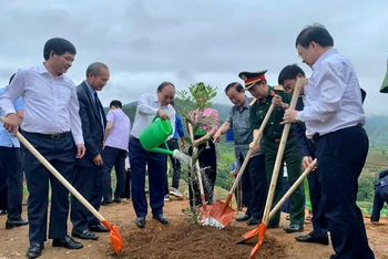 Chủ tịch nước Nguyễn Xuân Phúc tham gia trồng vườn cây mắc-ca tại xã Nà Nhạn (TP Điện Biên Phủ, tỉnh Điện Biên).