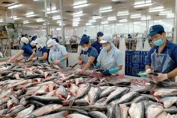 EU luôn được biết đến là một trong những thị trường xuất khẩu thủy sản hàng đầu của Việt Nam.