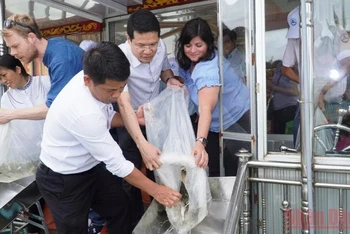 Lãnh đạo UBND tỉnh Thừa Thiên Huế cùng đại diện WWF Na Uy và WWF tại Việt Nam tiến hành thả cá để tái tạo nguồn lợi thủy sản. (Ảnh: CTV)