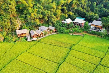 Du lịch xanh, du lịch bền vững đang trở thành xu hướng yêu thích của du khách Việt. (Ảnh: CTV)