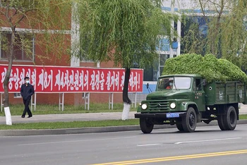 Xe chở rau phân phối cho các hộ gia đình đang chạy dọc theo một tuyến phố ở Bình Nhưỡng, ngày 16/5. (Ảnh: Kyodo)