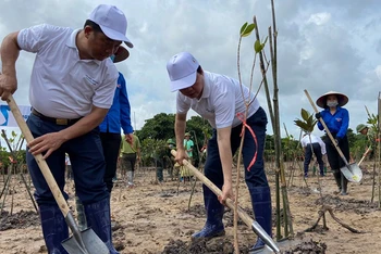 Trồng cây tại rừng ngập mặn Đồng Rui, huyện Tiên Yên (tỉnh Quảng Ninh) hưởng ứng Ngày Môi trường thế giới.