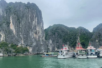 Tàu du lịch đưa khách tham quan Vịnh Hạ Long, Quảng Ninh.