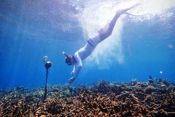 Một nhà nghiên cứu lắp đặt đầu thu sóng trong nước (hydrophone) ở biển thuộc quần đảo Spermonde, Indonesia. Ảnh: Tim Lamont, Đại học Exeter, Anh.