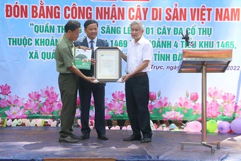Hội Bảo vệ thiên nhiên và môi trường Việt Nam trao Bằng công nhận quần thể Cây di sản Việt Nam cho Công ty trách nhiệm hữu hạn một thành viên Lâm nghiệp Nam Tây Nguyên.