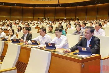 Đại biểu Quốc hội biểu quyết thông qua Nghị quyết về Chủ trương đầu tư Dự án đường Vành đai 3 - TP Hồ Chí Minh. (Ảnh: LINH KHOA NGUYÊN)