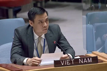 Đại sứ Đặng Hoàng Giang, Trưởng Phái đoàn thường trực Việt Nam tại Liên hợp quốc. (Ảnh: TTXVN)