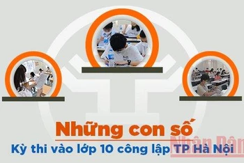 Những con số về kỳ thi vào lớp 10 công lập của Hà Nội