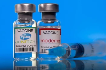Mỹ trở thành quốc gia đầu tiên cho phép sử dụng vaccine mRNA ngừa Covid-19 cho trẻ em dưới 6 tháng tuổi. (Ảnh: Reuters)