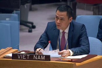 Đại sứ Đặng Hoàng Giang, Trưởng Phái đoàn thường trực Việt Nam tại Liên hợp quốc. (Ảnh tư liệu: TTXVN)
